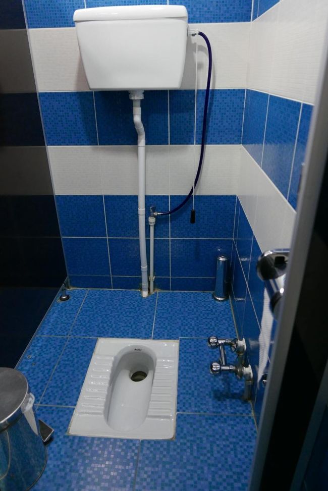 ウズベキスタン式トイレを見たくて、レストランのトイレを覗いてみました。<br />和式トイレに似たトイレです。<br />レストランのトイレなので綺麗に清掃されています。<br /><br />午前中歩いたせいか、左足親指付け根が少し疼きました。<br />日本で飲んでいた薬の効果が薄れたのかもしれません。<br />