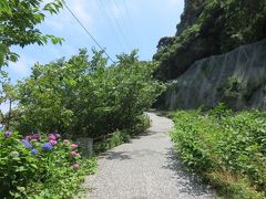 石廊崎港の駐車場から歩いていきます。

坂です！結構登ります。
