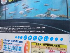 で、
向かったところは
稚内市ノシャップ寒流水族館

入館料が良心的です。