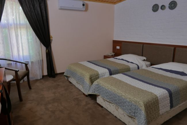 部屋は広くエアコンもありますが、地味な感じでした。<br />それでも私の部屋は道路側で明るい雰囲気でしたが、廊下の反対側の部屋は暗い感じでした。<br />冷蔵庫が無く、ミネラルウォーターを冷やすことが出来ないのが最大の不満でした。