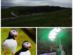 お天気はまずまず。ちょっと雲が多くなってきたような？

パフィン（鳥）ちゃんに会いたいな！