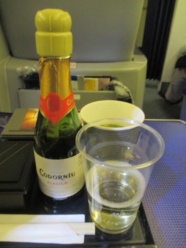 今日もオンタイムでプッシュバックされ<br />水平飛行に入ったところで食前酒にスパークリング<br />ワインを頂きます。<br />ラウンジが利用できなかった分、すぐに2本目を頂き<br /><br /><br />