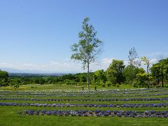 十勝ヒルズ。ヒルズと言うだけあって、丘の上にある庭園。花はほとんど咲いていなかった。