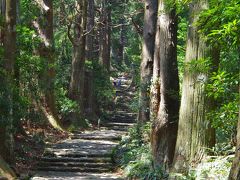 杉の大木の間に石畳の坂道が続きます。