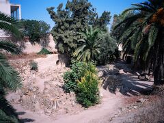 ポエニ戦争でローマと戦ったカルタゴ。古代ローマの史書ではここで人身御供が行われ、幼い子どもたちが神に捧げられたとされています。ただ当時のローマはカルタゴを嫌っていた指導者たちが徹底的に街を破壊し尽くしています。実際にそのようなことが行われたのか、今でははっきりしたことは分かりません。降り注ぐ真夏の太陽と濃い緑が独特の雰囲気を醸し出しています