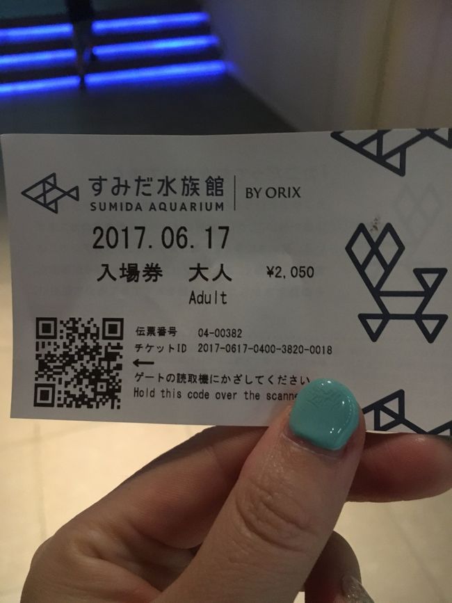 並んで大人のチケット1枚購入。<br /><br />そんな規模の大きい水族館ではないけれど、<br />料金はお高め。