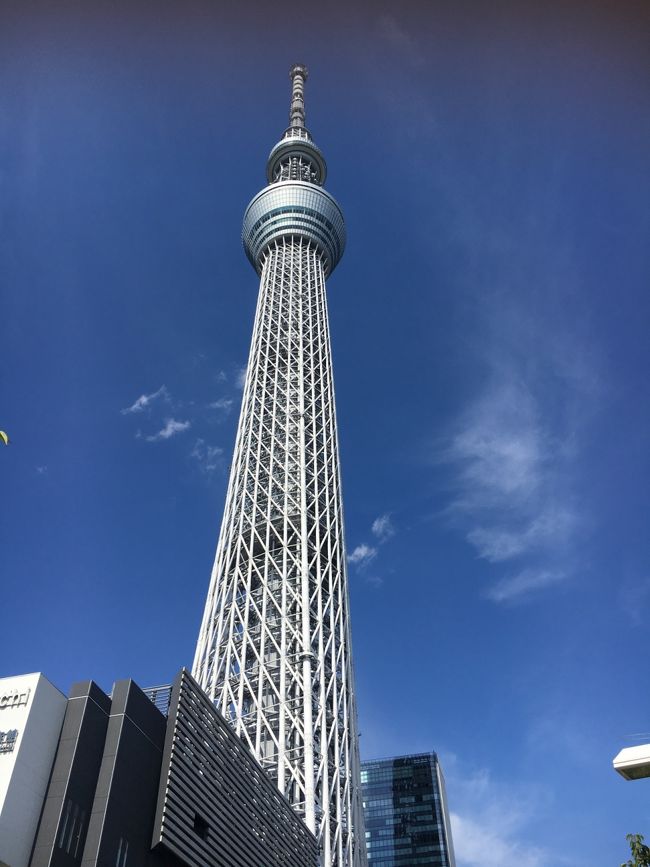 荷物を置いてバスでスカイツリー前までやってきました。<br />見上げると、とっても高い！！<br /><br />完全におのぼりさん状態。。。