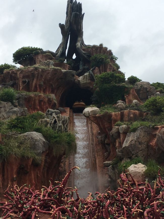 ミッキーの家を出たらちょうどスプラッシュ・マウンテンの時間に。<br /><br />身長制限が90ｃｍ以上とクリアだけれど、<br />最後がかなり落差があり迫力満点で、ＳＵＮ大丈夫？？<br /><br />予想通り最後は怖かったみたい。<br />後で、どの乗り物が楽しかった？と聞くと、なんとスプラッシュ・マウンテンなんだって。<br />川のボートで落ちるやつ、また乗りたい！って言うんだけれどスタンバイで90分待ち。ＦＰじゃないと無理～！<br /><br />また今度ね☆<br /><br />