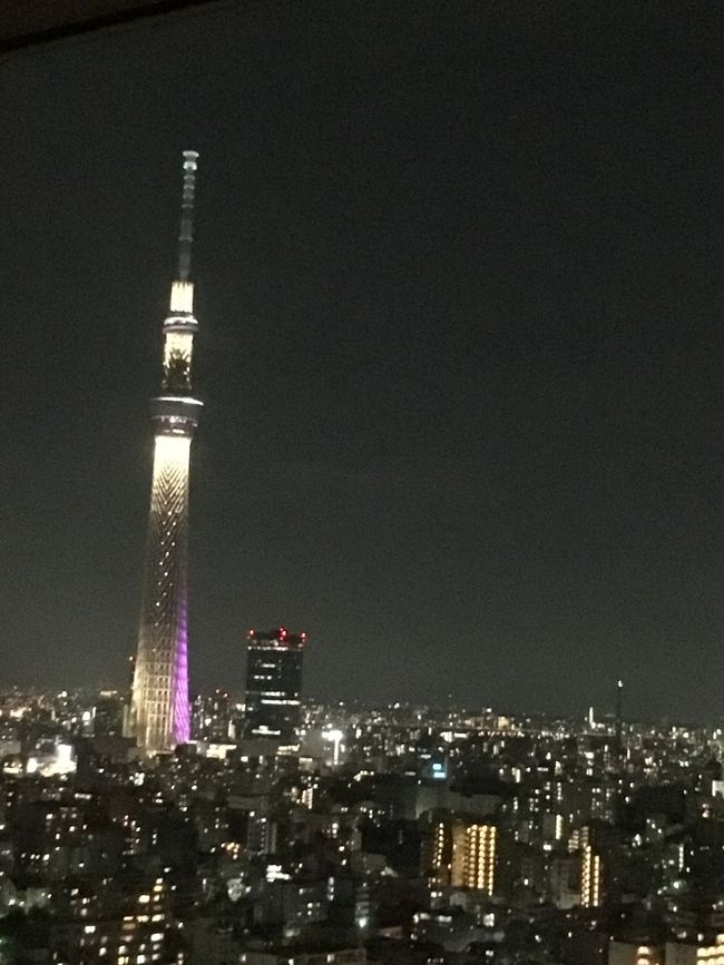 カーテンを開けたまま夜景を眺めつつ、おやすみなさい～★