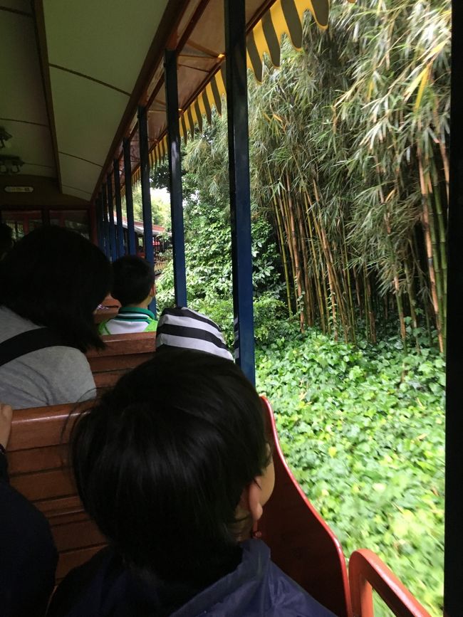 17：00頃、雨脚が弱まってきたので、パーク出る前に何か乗ろうと、<br />まだ周っていないアドベンチャーランドへ。<br /><br />ちょうど雨上がり気味（少し小雨）で、超絶空いている！<br />カリブの海賊はスタンバイで5分！だけど5分も待つことなくそのまま乗れちゃいました。<br />その後は、ジャングルクルーズと、ウエスタンリバー鉄道ともに待ち時間5分で、パーク出る1時間の間に3つも乗れて大満足。<br /><br />特に期待していなかったウエスタンリバー鉄道は小さい子供にはオススメ☆