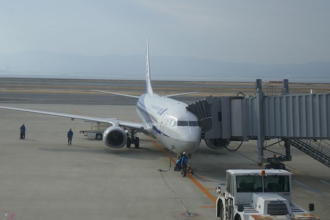 石垣島までよろ！