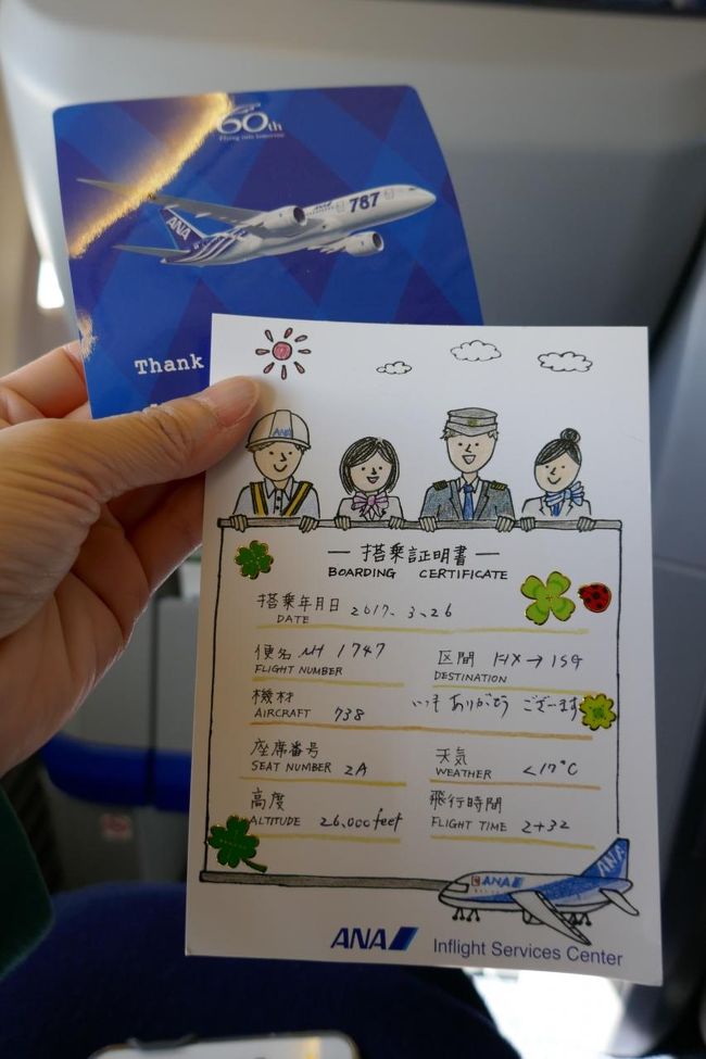 そして！この機に乗じて、勇気を振り絞ってCAさんに修行中であることを告げて「何か記念になるものをいただけませんか・・？」と言ってみました。<br /><br />Twitterなどでは結構みなさんいろんなものをいただいているようですが、生来人見知りの私はなかなかCAさんに話しかけることができず・・<br /><br />この日のフライトは「どうした？」っていうくらいの年齢層が高いCAさんばかり。ベテラン勢は人見知りにはなかなかハードル高しです。<br /><br />先ほどの申し出に少々怪訝な顔をした夜会巻きのCAさんが持ってきてくれたのがこれ！<br /><br />憧れの「搭乗証明書」ですっ！嬉しい！<br /><br />お手数かけて申し訳ない気持ちでいっぱいになりましたが、「こんなものでよろしいでしょうか？」と持ってきてくれたCAさんに大感謝！<br /><br />787のステッカーもいただきました～♪