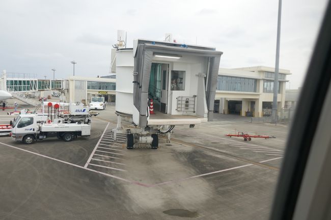 ブリッジ接近中！