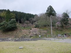 左に館跡庭園、高い木の右に朝倉義景墓所が見えます。