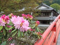 最初に訪れたのは「室生寺」でした。
レンタカーという考えが全くなかったので、電車を乗り継ぎバスに乗って行ったことを思い出します。