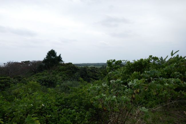 初めまして～石垣島♪<br /><br />ちょっとだけ海が見えます。