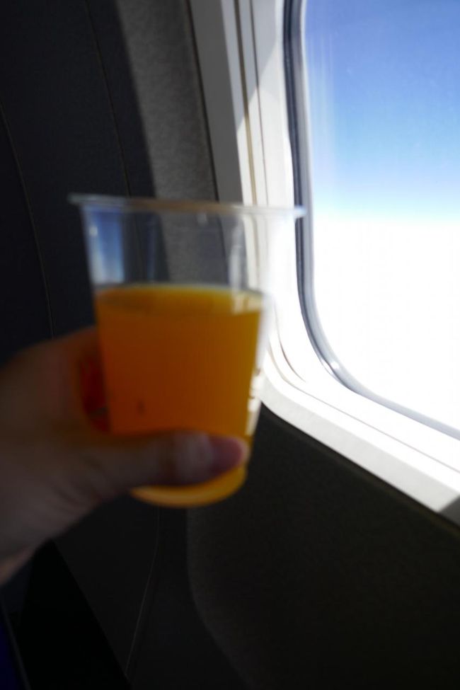 ボケボケの温州みかんジュース・・