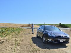 車での移動