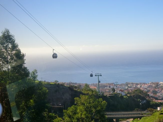 植物園の脇をロープウェイが通っています