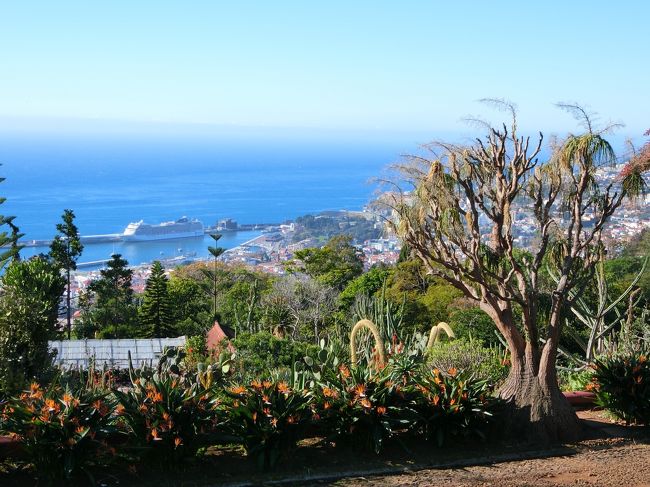 植物園から乗船中の船が見えます