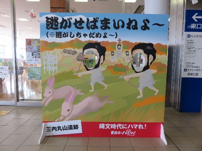 はやぶさ３号　新青森　11：00着<br /><br />「新青森駅」