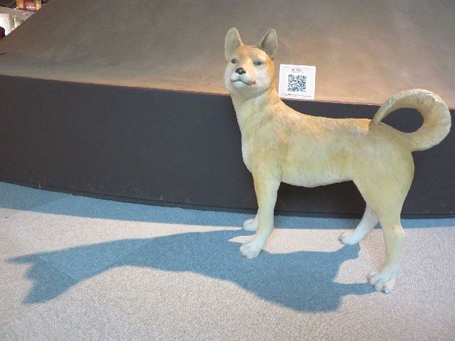 それを見送る犬。<br /><br />この後、三内温泉が気になったので行こうかと思ったけれど車じゃないから諦めた。<br /><br />ねぶたん号　三内丸山遺跡前～アスパム前　200円×2<br />