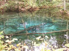 暫く見ていなかったので、ず～っとここは青い池だと思っていました。
道理でよく旅行記で見る『青い池』とは「何か違うわ～？」って思って
いました(/ω＼)