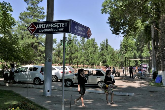 大学通りというのでしょうか。