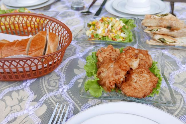 サラダ、春巻、野菜のフライ、ナン。
