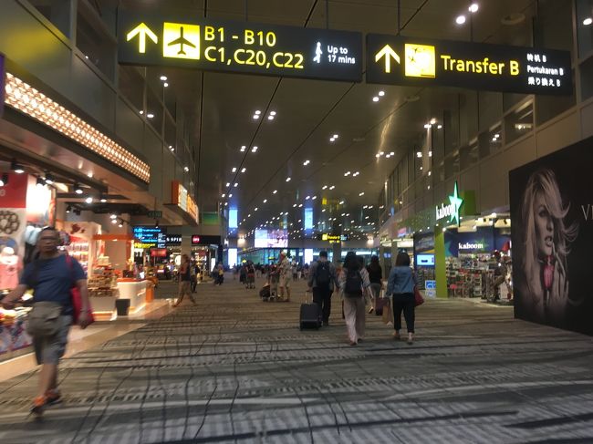 電動カートで搭乗口へ走行中２<br />そういえば、桃園空港内でも乗りました。電動カートの利用で、お年寄りはホントに助かります。