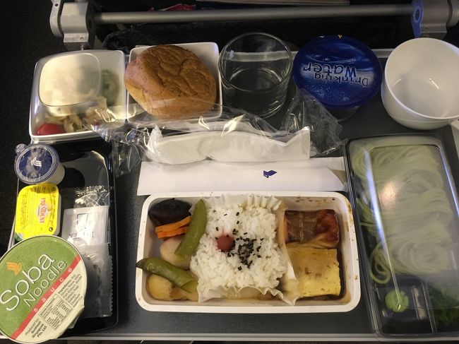 和食を選びました。しばらくして、乗務員がデザートのアイスクリームを持ってきましたが、まだ食事を終えていないので、溶けるんじゃないかと思い、もらいませんでした。