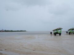 続いて由布島へ。暴風雨で客を待つ牛たちも暇そうです。出発を待つ間、何人か他に観光客が来ましたが、この様子を見ると由布島に渡らず引き返して行きました。この日は雨ばかりで写真は殆ど撮っていません。収穫として、上原 > 裏内川(クルーズ1時間) > 由布島 > 上原と、本数の少ない公共バスでも1日で西表島の観光地２箇所を巡れることが分かったことでしょうか。