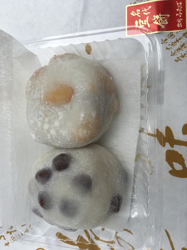 叡山電車で出町柳駅に到着。<br />念願の出町ふたばで豆餅を！