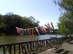 ここまで来たので善福寺公園の周りをぐるりとサイクリング。上の池、鯉のぼりが気持ち良さそうに泳いでる！　ボートが多く出ていました。 