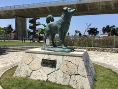 　阿嘉港では、シロの像が迎えてくれる
　阿嘉島の雄犬シロは、座間味島の雌犬マリリンに会いに行くために海を渡ったらしい