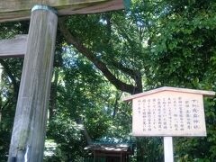 今日は１日観光Ｄａｙ！！
土日エコきっぷ（１日乗り放題６００円）を買って
地下鉄で動きまわりました。

神宮西駅で下車。
まずは、熱田神宮に行ってみました！
駅を出ると最初の鳥居はここ。
旅行安全の神様だそうで
ここからお参りです。