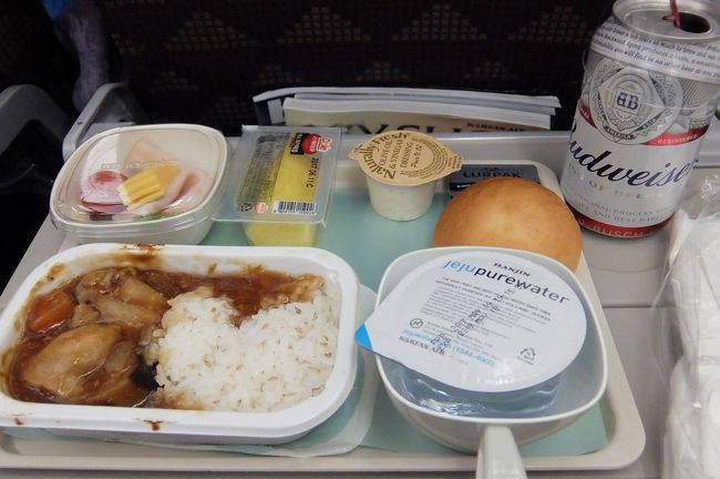 １回目の機内食。<br />喉の痛みがひどくズキズキと疼きます。<br />更に、耳も痛く、後で調べたら航空中耳炎というらしいです。<br />風邪をひいたり体調が悪いとなるらしく、こんな耳の痛みは人生初めての経験。