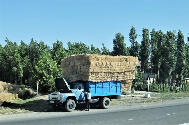オーバーヒートでもしたのか道端で止まっていたトラック。
