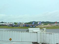 【マナウス／アマゾン／ブラジル】

ブラジル・アマゾン（注：アマゾンはペルーにもボリビアにもあります）の玄関口：アマゾナス州マナウスのマナウス国際空港（エドゥアルド・ゴメス国際空港）別称：アマゾン空港に到着。

そこで到着早々、いきなり目を疑うような異様な光景を発見。