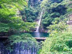 布引雌滝です。
布引には４つの滝がありますがこの滝が１番好きです。
新神戸駅から徒歩10分ぐらいのところにあります。