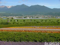 富良野に入り山の斜面にラベンダー畑の紫色が見えてきたので、そちらに向かうとファーム富田に到着。