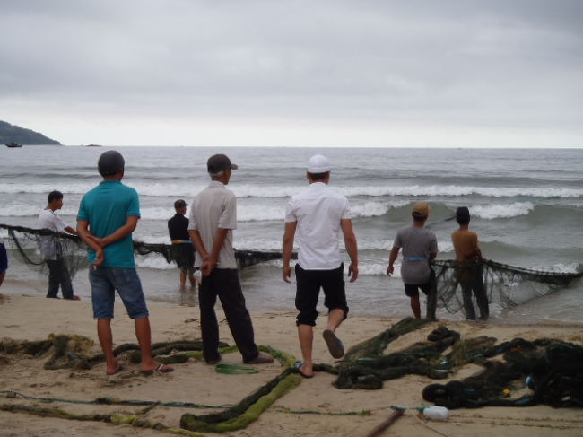 何と地曳網が行われていた。