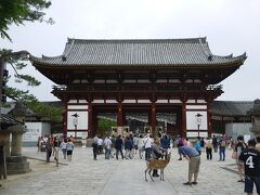 中門まで来ました
ここから大仏殿に入るのは拝観料がかかります

仏像も見たかったので
東大寺ミュージアムhttp://culturecenter.todaiji.or.jp/museum/
共通券を買いました

800円