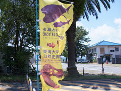 博物館は海洋科学博物館と自然史博物館の2館があります。
ラブカがいるのは海洋科学博物館です。