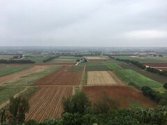 　夕方から雨が降ってきたので、傘を差しつつトボトボと歩き、島南部にある日の丸山展望台に来てみた
　ここは南大東島で一番高度の高い場所のようで、見事な幾何学的模様のサトウキビ畑を一覧することができる
　生憎の天気だったので、後日また訪問することになる