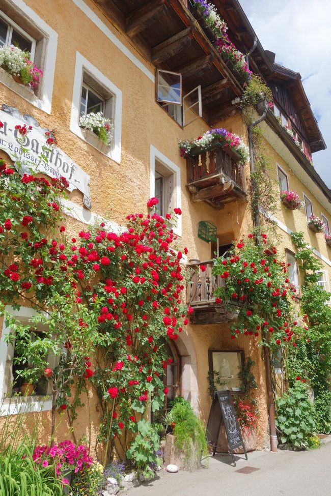 今晩夕食を頂いたレストラン。<br />この時はただ「わぁ～、お花いっぱい！」っとレストランであるのも気付かず。