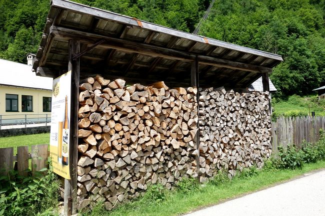 ホテルの近所はめっちゃ牧歌的。冬の準備？薪が多くストックされていました。