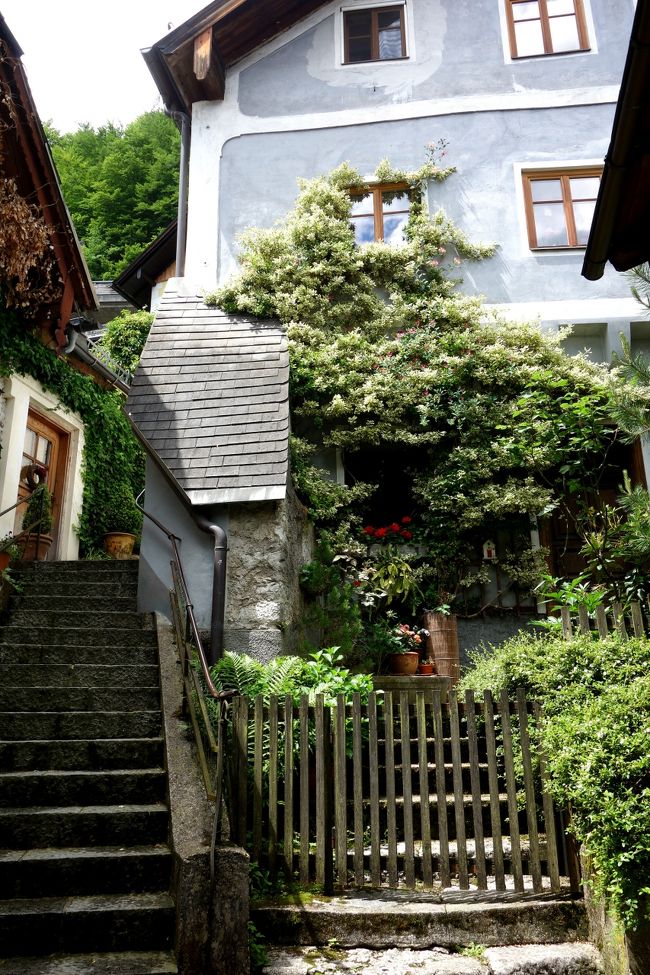 お腹が空いたので、今度は一気に下ります。<br />ハルシュタットの民家、どの家も手入れが行き届いています。