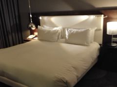 よく治安とかわからなかったのでヒルトン。
それも2つあるうちランクの高い方にしたのに。。。
ヒルトンゴールドは朝食無料なはずなのに。。。
予約がいっぱいだから有料とかわけわからないこと言われた。。。。

マリオットかなんかから買収したばっかでスタッフがいけてなかった。。。