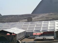 あっ、あれがうわさのスフィンクスかいΣ(･ω･ﾉ)ﾉ！
